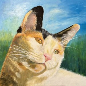 Close up of a white, orange and black domestic cat.